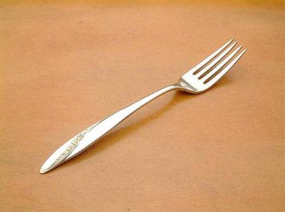 Picture of Place Forks