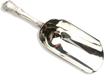 Picture of New Ice Scoop