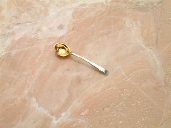 Picture of Ind. Salt Spoon