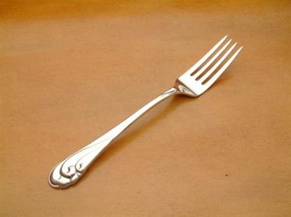 Picture of Place Forks: