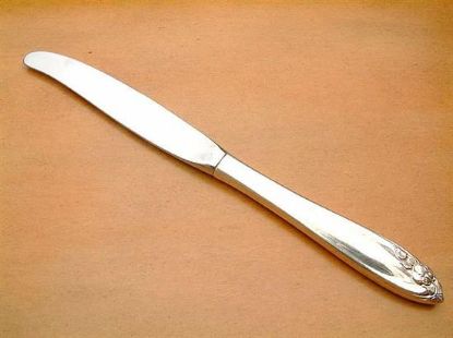 Picture of Place Knife Modern