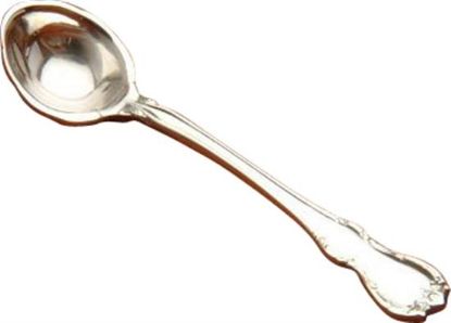 Picture of Ind. Salt Spoon