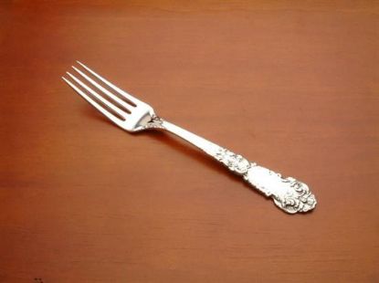 Picture of Place Forks: