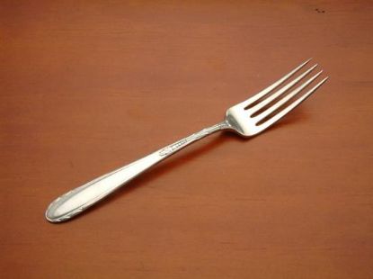 Picture of Place Forks