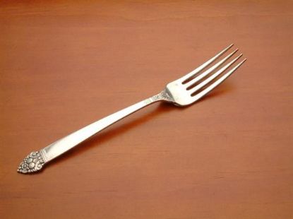 Picture of Place Forks