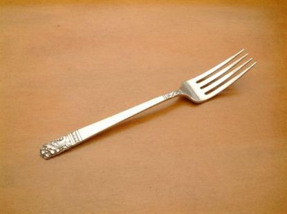 Picture of Place Forks