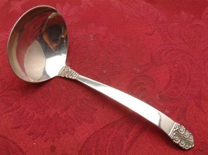 Picture of Gravy Ladles