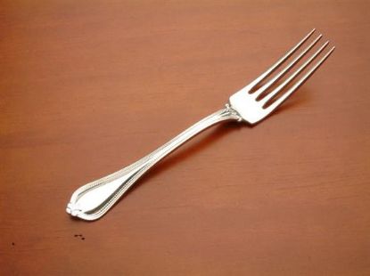 Picture of Place Forks