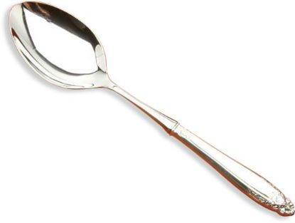 Picture of Stuffing Spoon