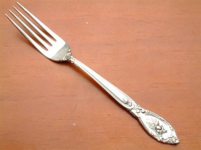 Picture of Place Forks