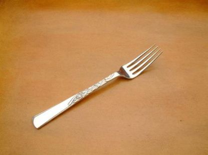 Picture of Place Forks: