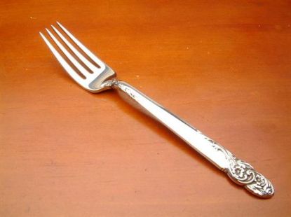 Picture of Place Forks: