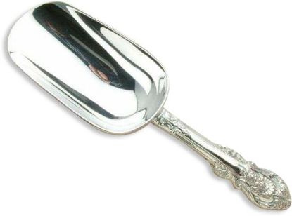 Picture of New Ice Scoop