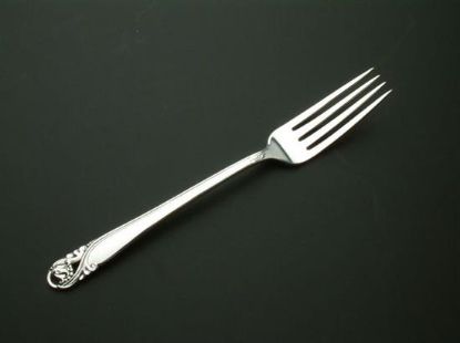 Picture of Place Forks
