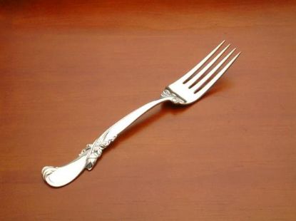 Picture of Place Forks