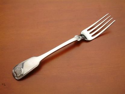 Picture of Place Forks: