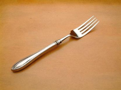 Picture of Place Forks