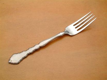 Picture of Place Forks: