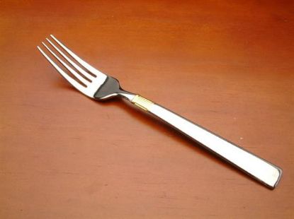 Picture of Place Forks