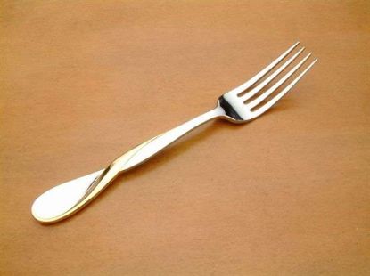 Picture of Place Forks: