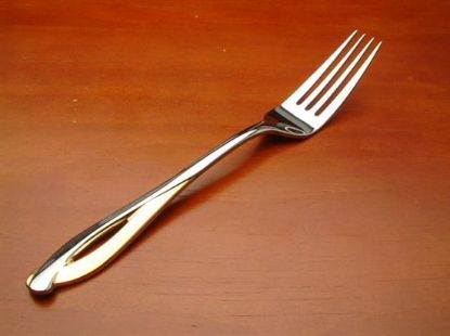 Picture of Place Forks