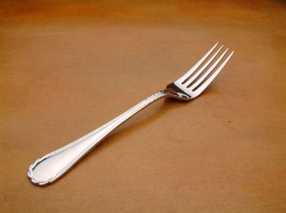 Picture of Place Forks: