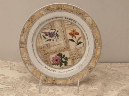Picture of Salad Plates