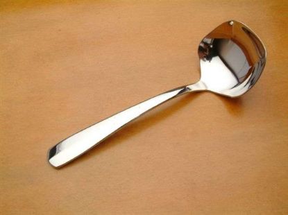 Picture of New Gravy Ladle: