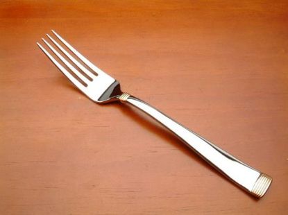 Picture of Place Forks: