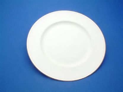 Picture of Dinner Plates