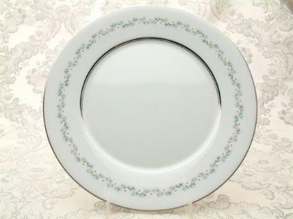 Picture of Dinner Plates
