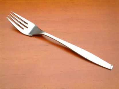 Picture of Place Forks: