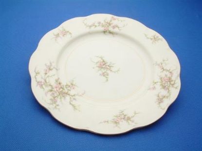 Picture of Dinner Plates