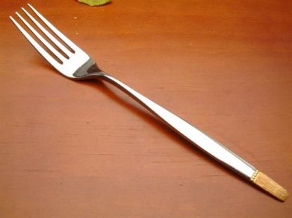 Picture of Place Forks: