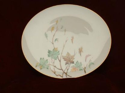 Picture of Dinner Plates