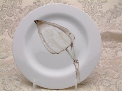 Picture of New Salad Plates