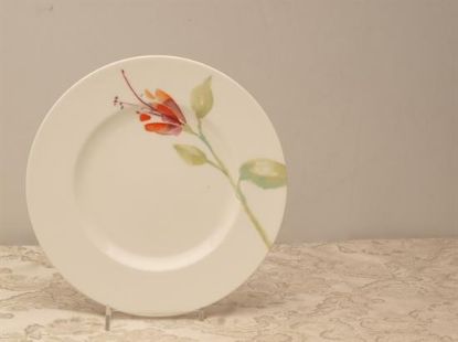 Picture of Salad Plates