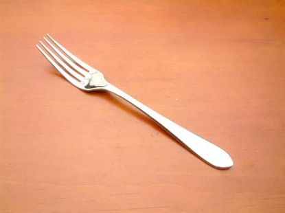 Picture of Place Forks