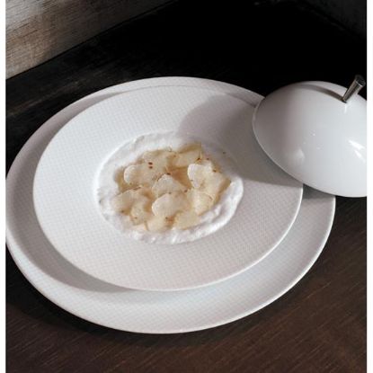 Picture of New Dinner Plate