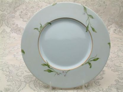 Picture of New Dinner Plate
