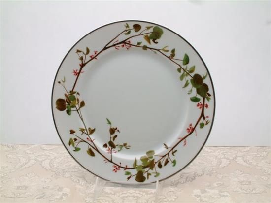 Picture of Dinner Plates