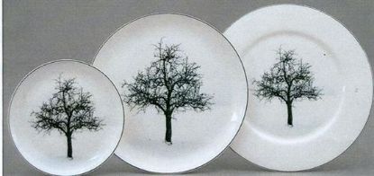 Picture of New Dinner Plate