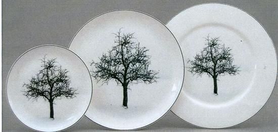 Picture of New Dinner Plate