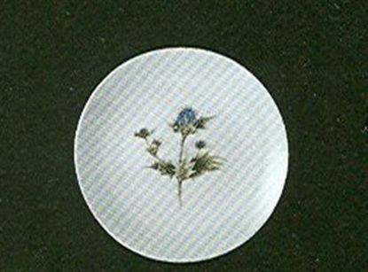 Picture of Salad Plates