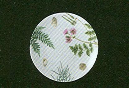 Picture of Salad Plates