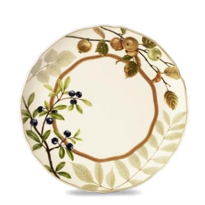 Picture of New Dinner Plate