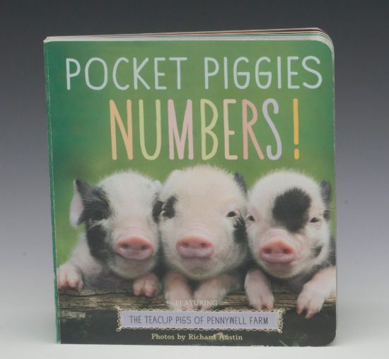 Picture of Pocket Piggies Numbers! Board Book