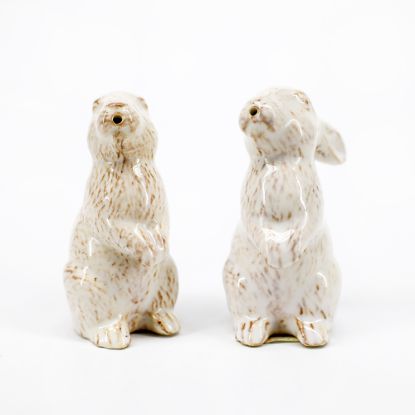 Picture of Juliska 'Berry & Thread' Whitewash Figural Bunny Rabbit Salt & Pepper Shaker Set