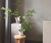 Picture of Georg Jensen 'Bloom' Large Flower Vase/Pot