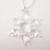Picture of Swarovski Annual Edition Snowflake Ornament 2010 with Original Box & COA, No Dust Sleeve